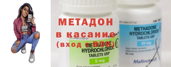 твердый Аркадак