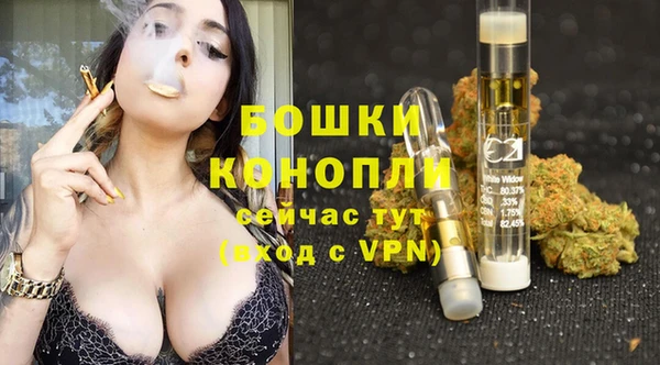 твердый Аркадак