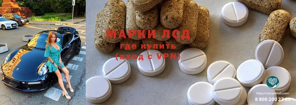 твердый Аркадак