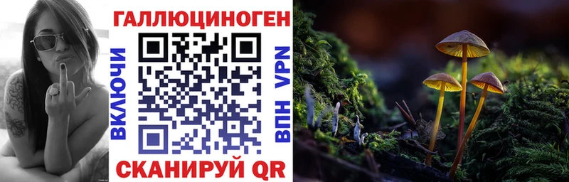 Галлюциногенные грибы прущие грибы  закладка  Пыталово 