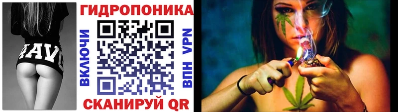 как найти закладки  Пыталово  Шишки марихуана марихуана 